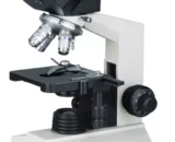 4769793 a9b38c80 4b4a 4512 8516 6b73eb0f3ea7 jpg